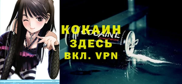 индика Арсеньев