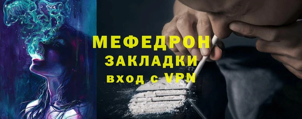 индика Арсеньев