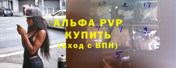 индика Арсеньев