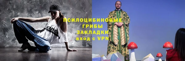 индика Арсеньев