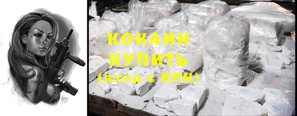 амф Няндома