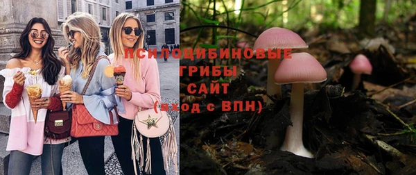 таблы Армянск