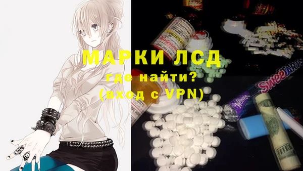 индика Арсеньев